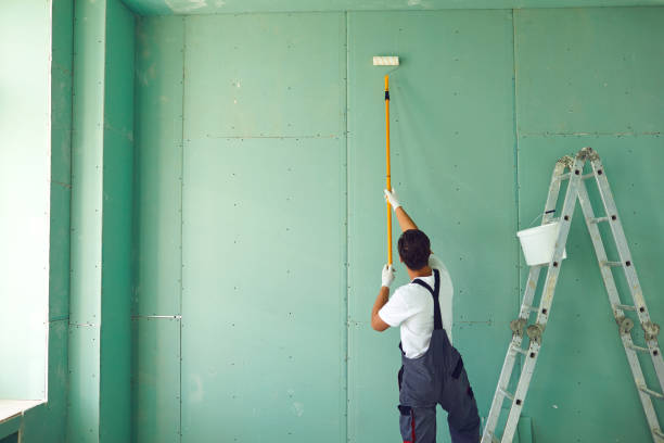 Best Asbestos and Lead Testing During Mold Inspection  in Dixmoor, IL