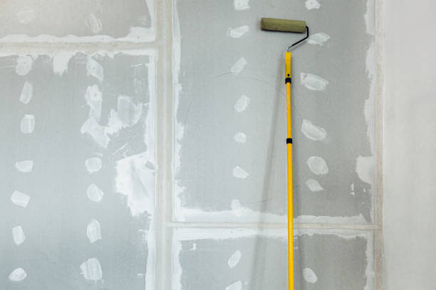 Mold Odor Removal Services in Dixmoor, IL
