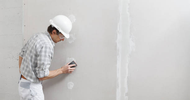 Best HVAC Mold Inspection and Cleaning  in Dixmoor, IL