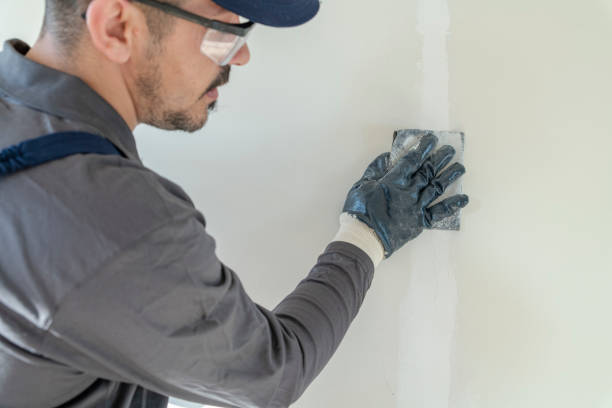 Best Airborne Mold Testing  in Dixmoor, IL