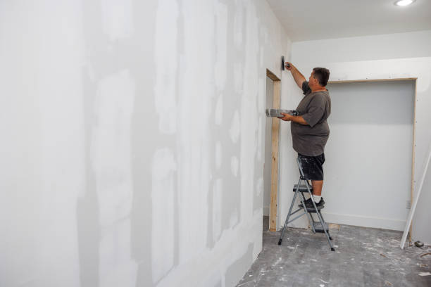 Best Emergency Mold Remediation  in Dixmoor, IL