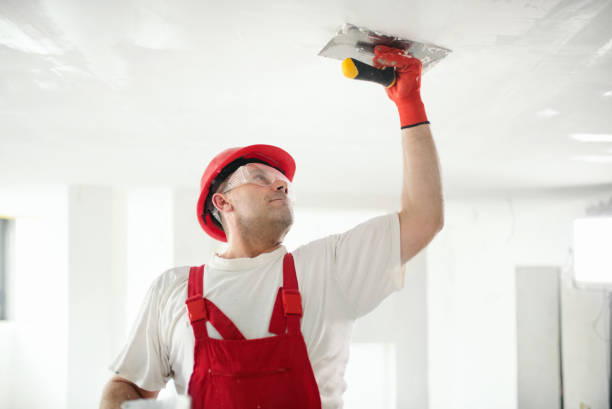 Best Attic Mold Removal  in Dixmoor, IL