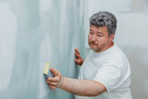 Best Crawl Space Mold Remediation  in Dixmoor, IL