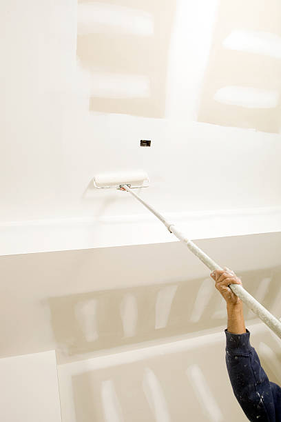Best Environmental Consulting for Mold Prevention  in Dixmoor, IL