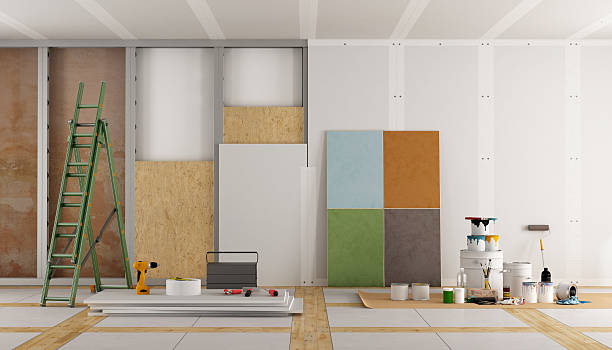 Best Mold Documentation for Insurance Claims  in Dixmoor, IL