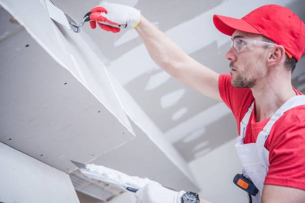 Best Comprehensive Air Testing for Mold Contaminants  in Dixmoor, IL
